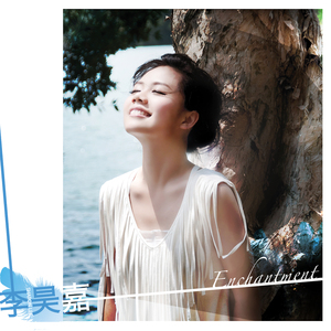 管理高端小鲤导航
