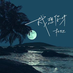 管理高端小鲤导航
